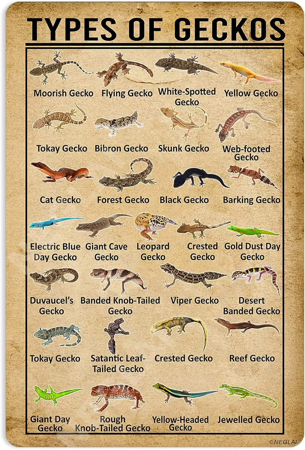 Affiche en métal « Le type de geckos que l'on connaît », décorations vintage, art mural, 8x12 pouces