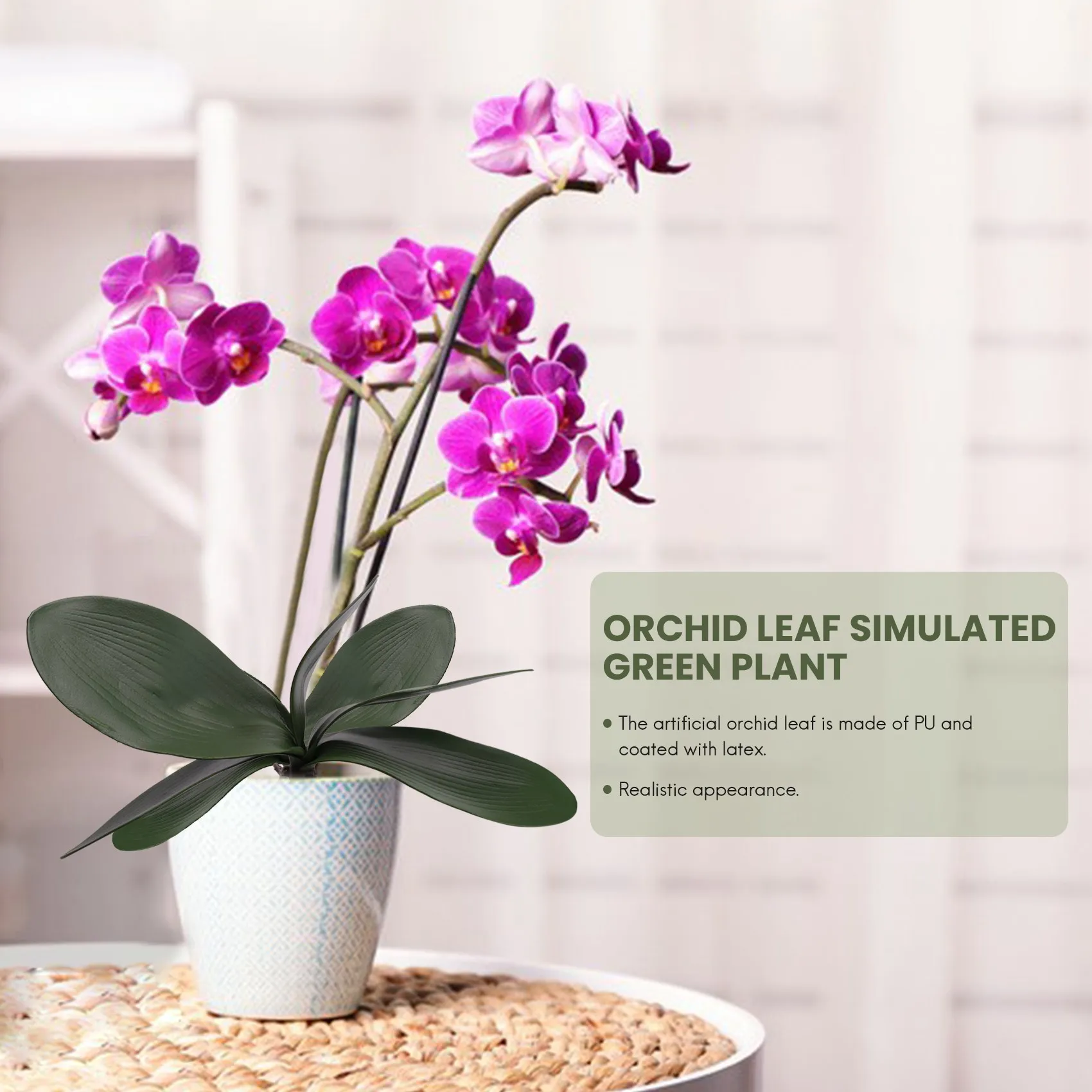 Le orchidee Phalaenopsis lasciano le radici artificiali dall'aspetto reale piante di contatto in lattice composizione di foglie finte verdi, 6 pezzi