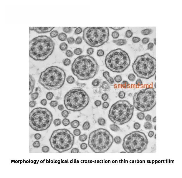 50 pcs 50 to 400 mesh domestic copper mesh ordinary carbon film Transmission electron microscopy carrier network support film