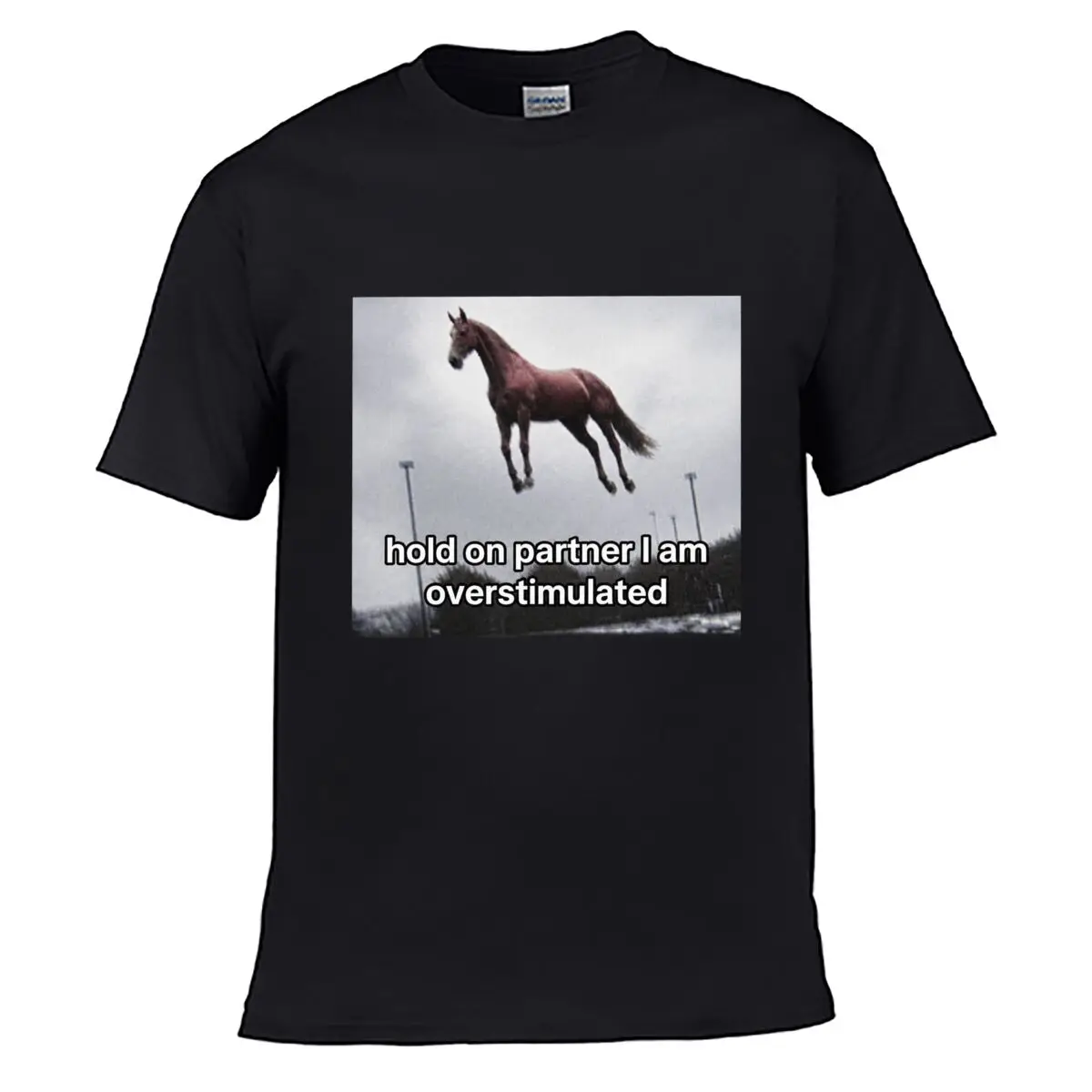 Hold On Partner I Am Overstimulated Flying Horse Graphic Street Distressed Washed Loose Simple Tee