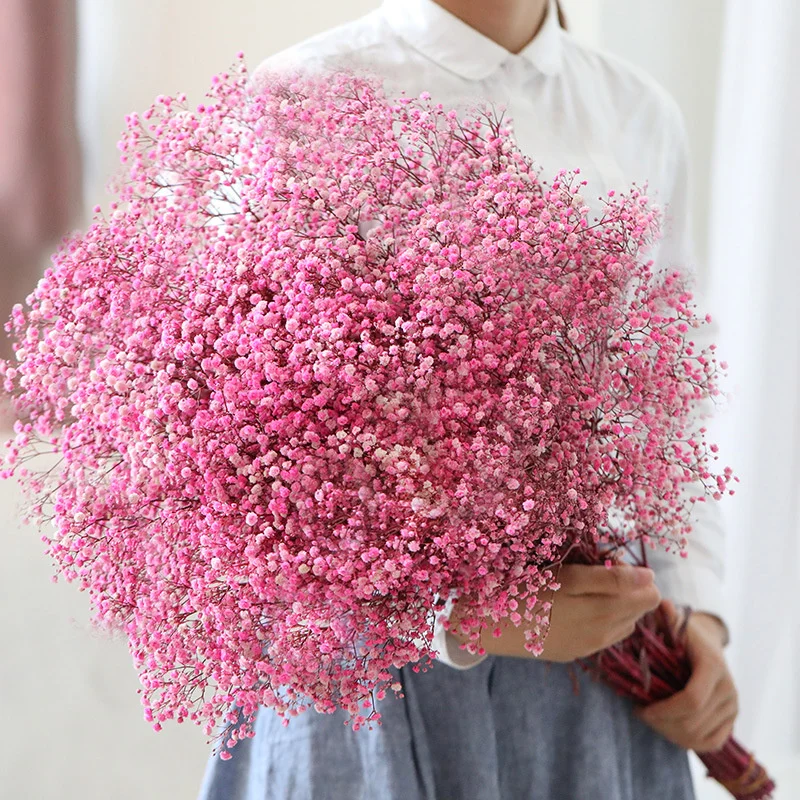 

Natural Fresh Dried Preserved Flower Wedding Decoration Bridal Bouquets Gypsophila Paniculata Baby Breath Flower Boho Home Decor