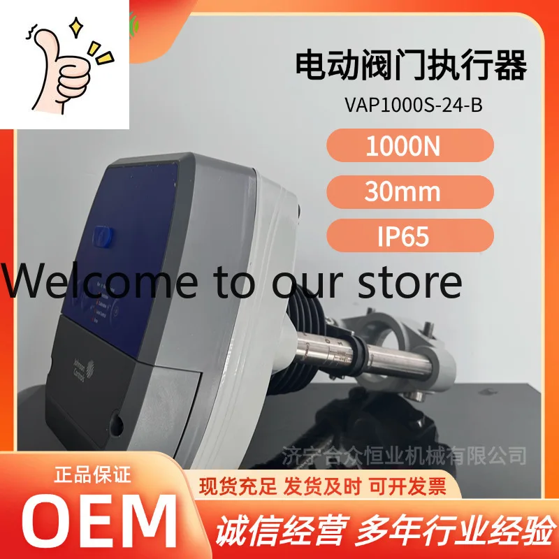 2025 Electric Actua…