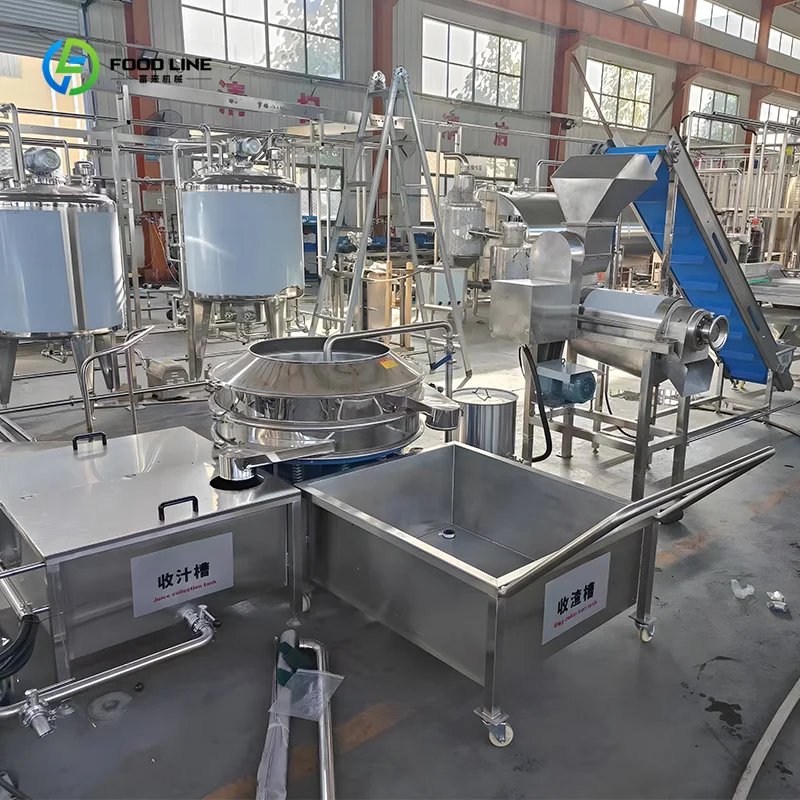 Commercial Apple Juice Production Line Complete Cashew Apple Processing Making Machine Equipment for Factory Customized