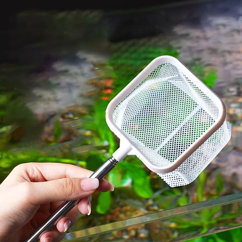 Aquarium Quadratisches Fischernetz Mit Saugnapf Ausziehbare Lange Griff Angelausrüstung Für Fang Fisch Garnelen Tank Saubere Lieferungen – Detail 3
