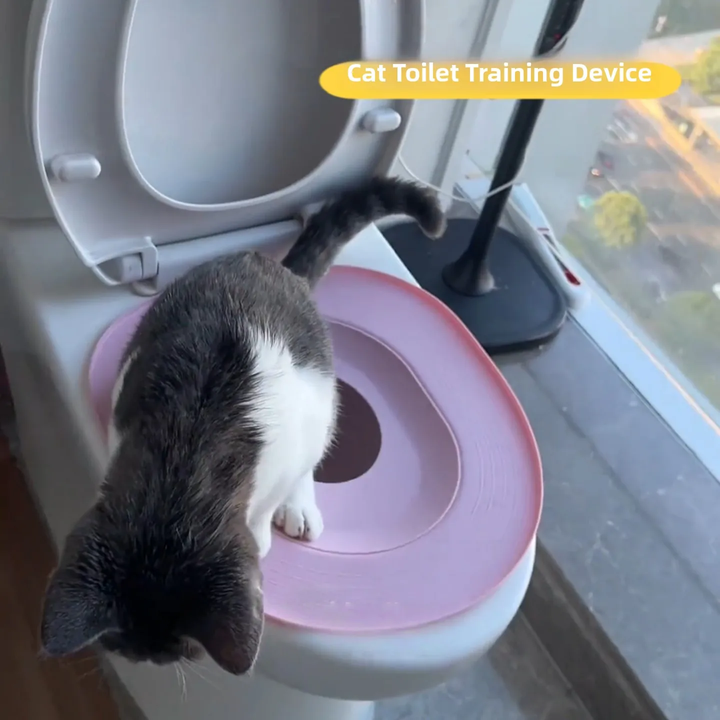 

Detachable Litter Box Trainer for Kittens Toilet Training Bowl No Cleaning Required Portable Open Structure PP Plastic
