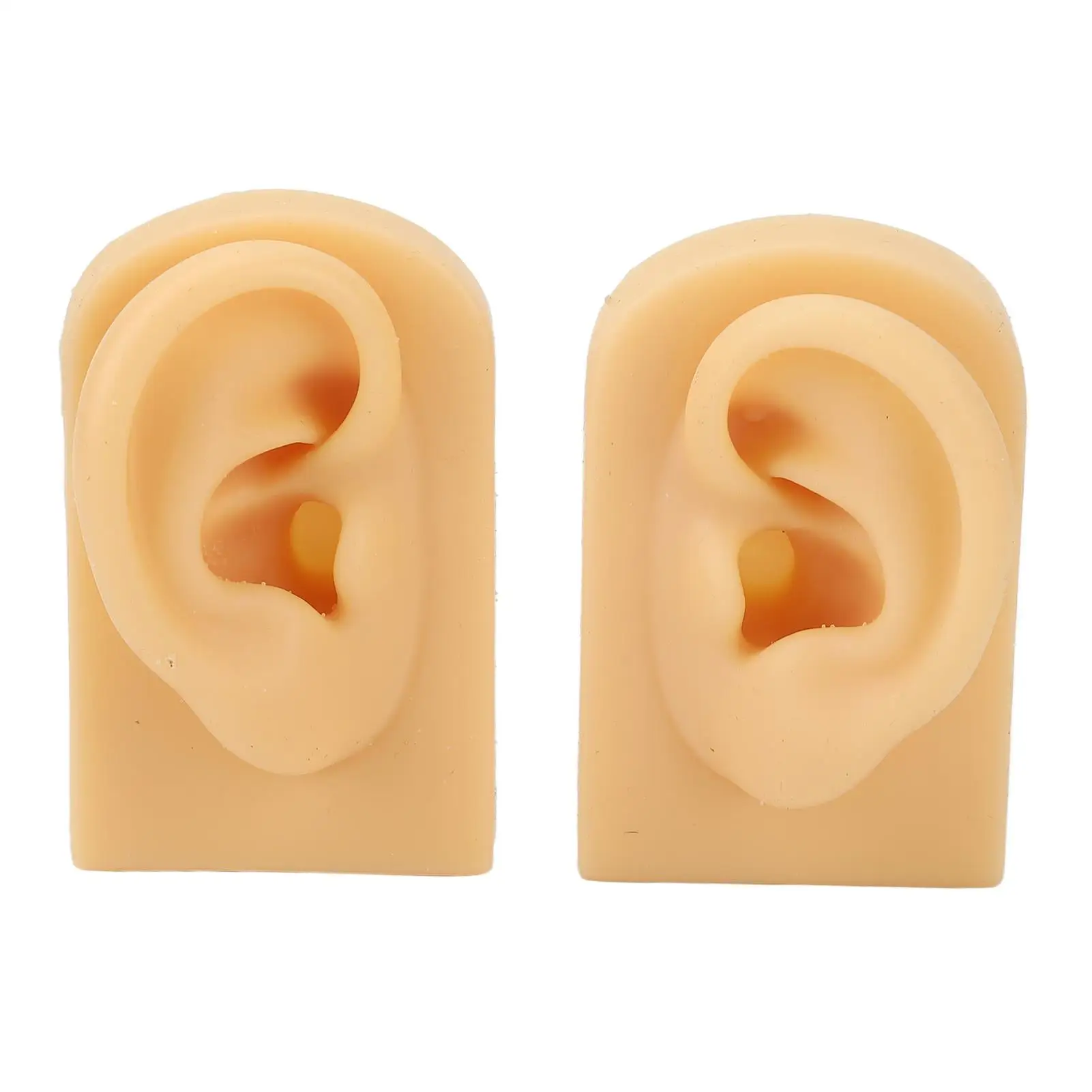 

Elastic for piercing Practice Ear Model for Professional for training Jewelry Salon Tools Pair
