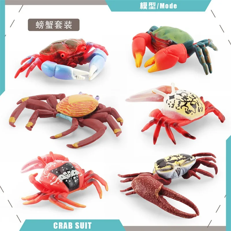 Simulazione Kawaii Marine Animal Crab Lobster Action Figures modello Fish Tank Decor corpo marino giocattoli educativi cognitivi per bambini