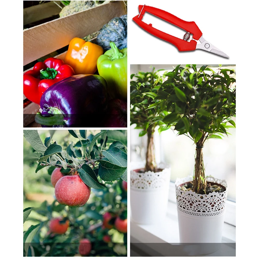 Fruit Picker Garden Pruning Shears Hand Tools Potted Branches Scissors Fruit Apple Picking Small Scissors Household Orchard Farm