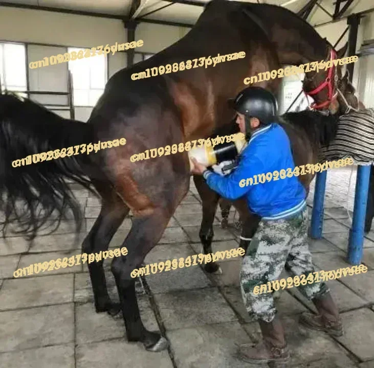 Dummy Vagina for Horse Reproduction