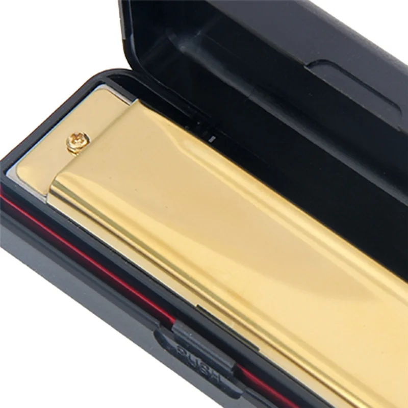 Lo-Ok 10 Hole Blues Harmonica  - Harmonica 10 Hole review and price