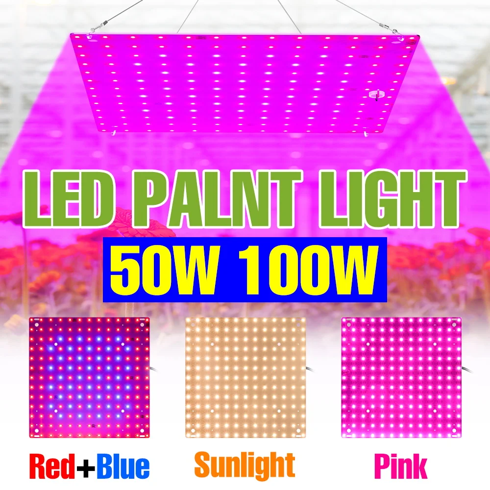 

100 Вт светодиодные лампы полного спектра для выращивания растений 220 В квантовая пластина заполняющая лампа комнатные цветы суккуленты выращивание в горшках вилка США/ЕС