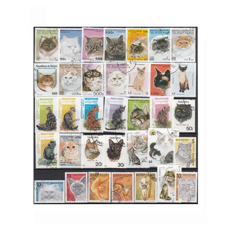 50 PCS  All Different  Topic Animal  Cat Unused Postage Stamps With Post Mark For Collecting Postal Stampel