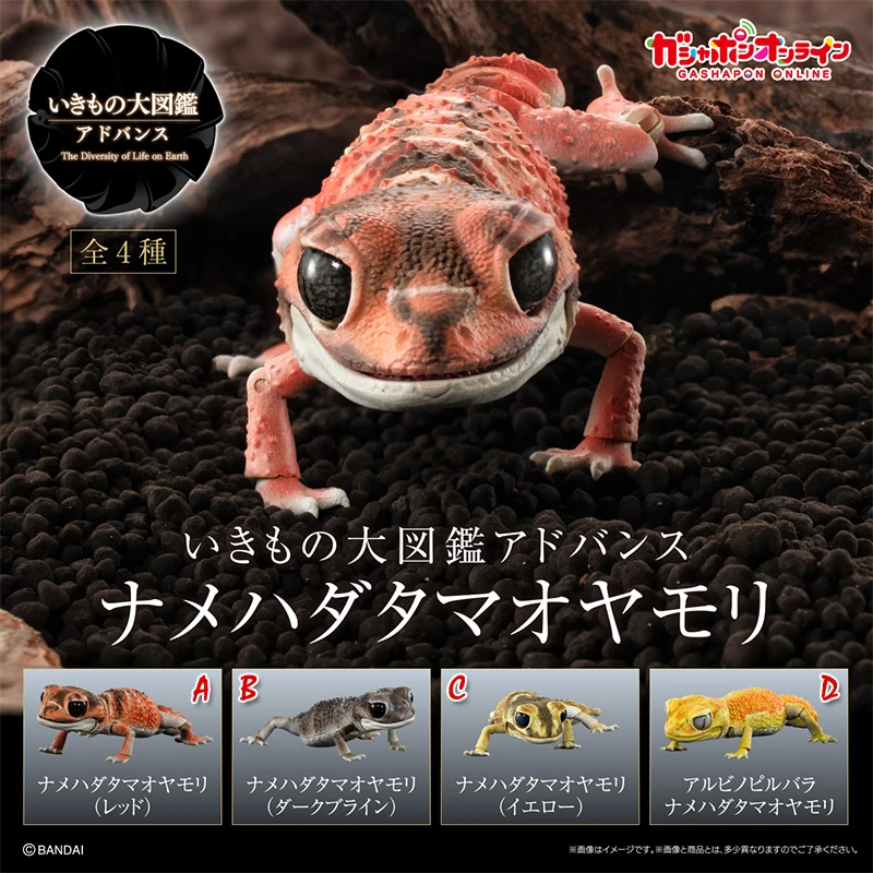 Genuine Popularity Gacha Biographical Guide Nephrurus Levis Fat Tailed Gecko with Movable Joints Action Figure Model Toys