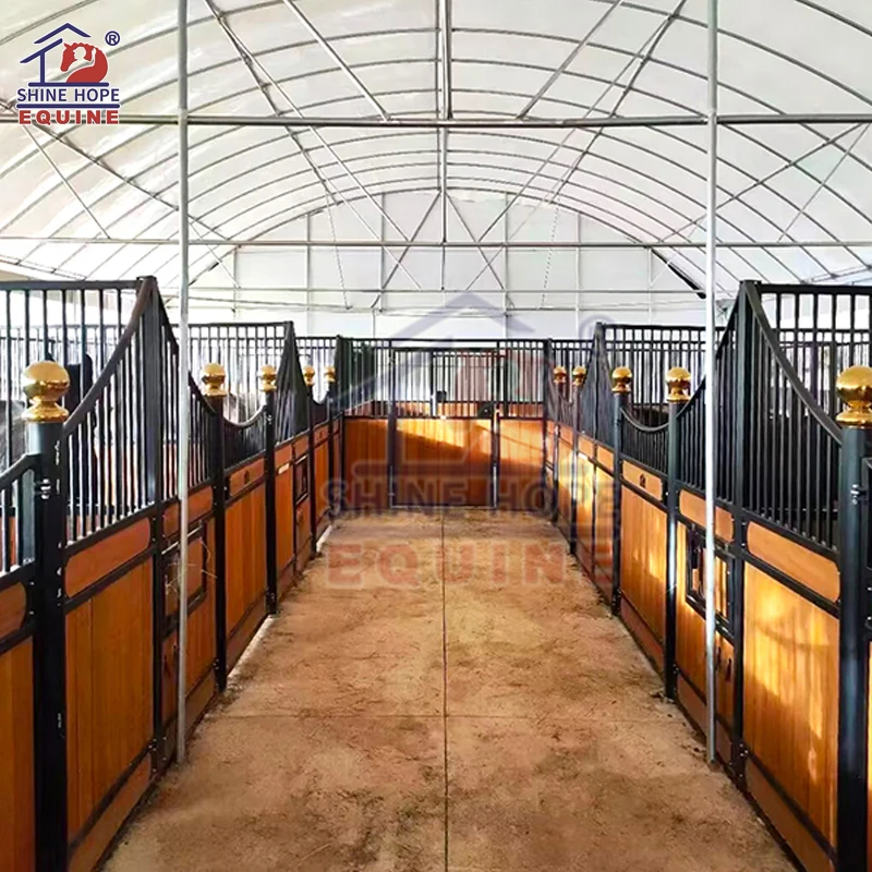 

Horse Equipment Equestrian Horse Barn External Wooden Horse Stalls with Roof