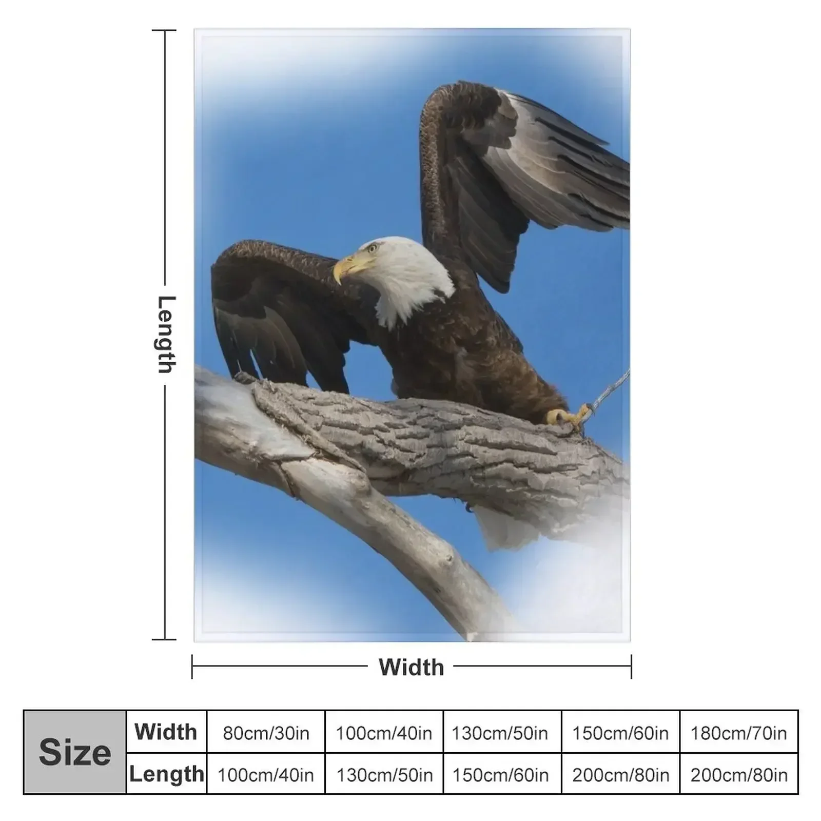 Eagle Taking off from Branch Throw Blanket blankets and throws For Baby Designers Shaggy Blankets