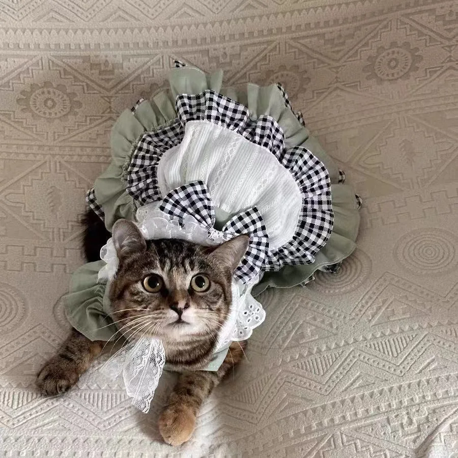 Pet Maid Cute Checkered Dog Cat Princess Cute Cat Clothes Cat Dogs Princess Dress Puppy Clothes Dog Clothes for Small Dogs