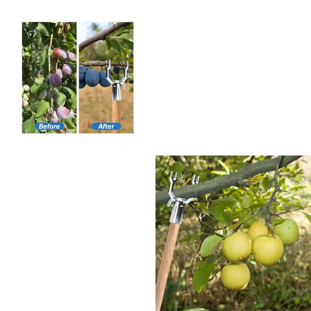 

20Pcs Y Shaped Metal Plant Stake Branch Support Holder For Various Branch Size