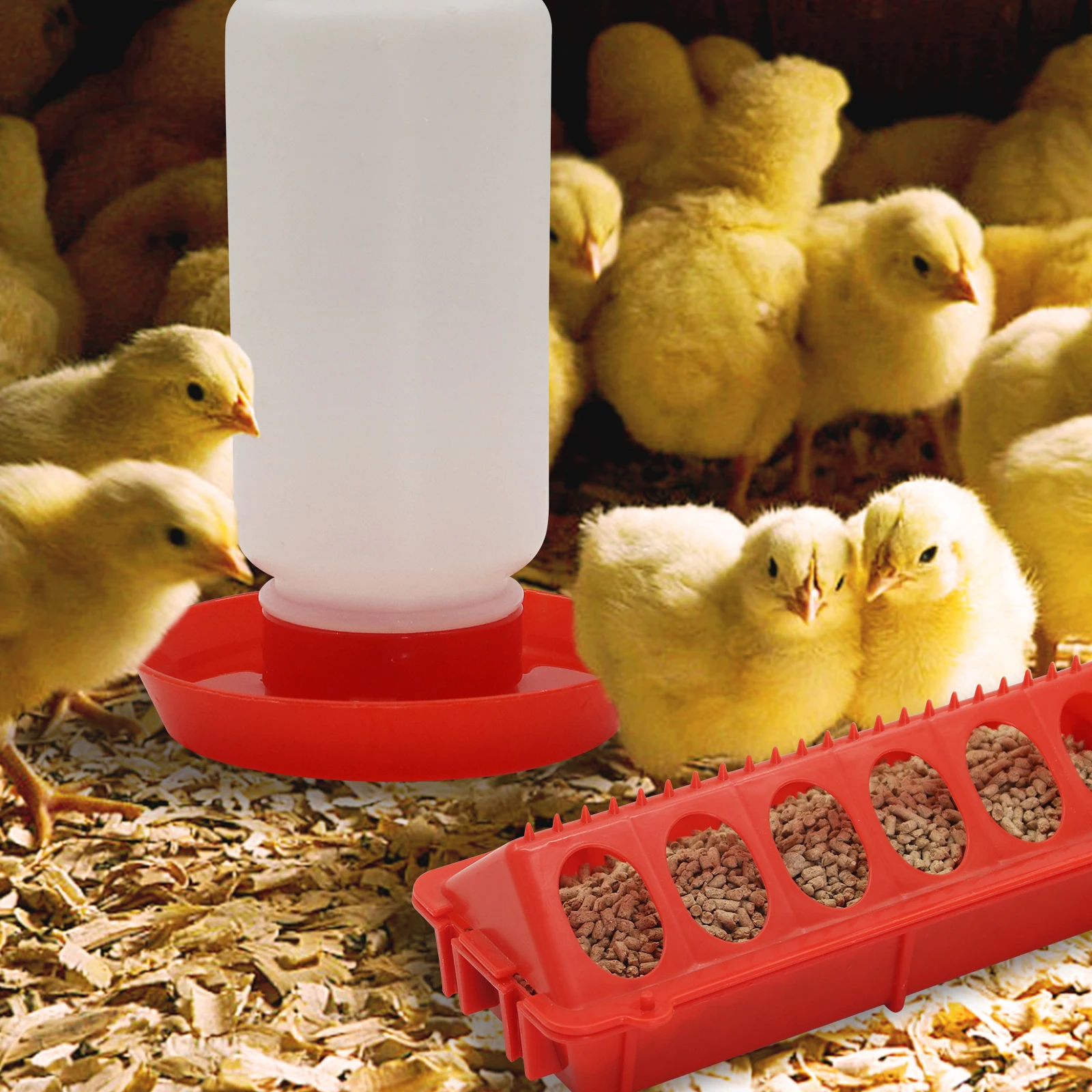 #27 Best Automatic Feeders to Buy In 2026