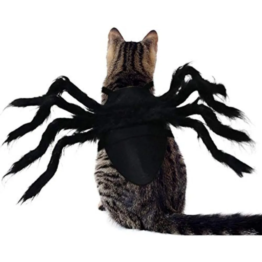 Halloween Spider Pet Costume 5