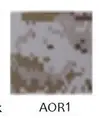 AOR1