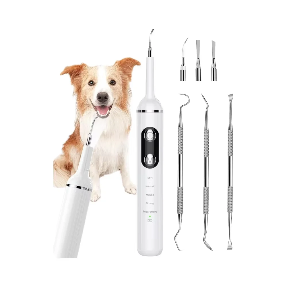 

Pet Toothbrushing Teeth Clean for Dog and Cat Tartar & Plaque Removal LED Light White