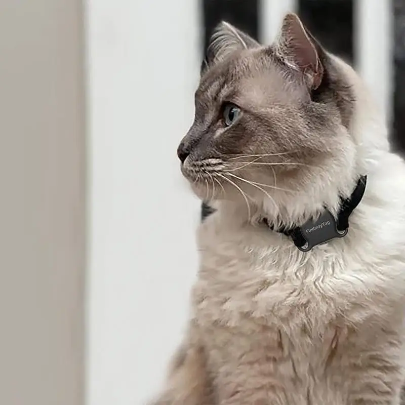 Findmytag gps pet cão rastreador mini sem fio à prova dwireless água gps crianças localizador de cães gatos rastreador para todos os coleira animais de estimação suprimentos de segurança