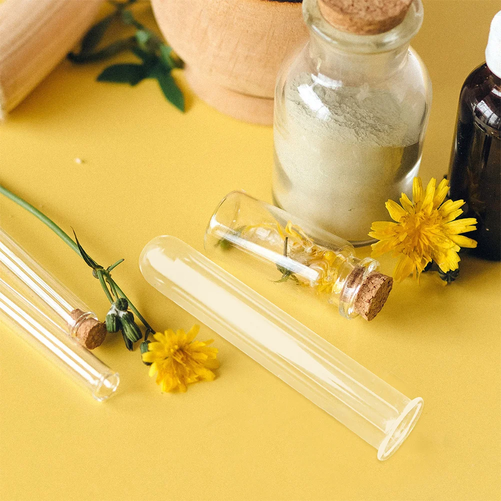 

4Pcs Glass Propagation Tubes Test Tube Vases for Hydroponic Plants Transparent Plant Holders Root Growth Observation Easy