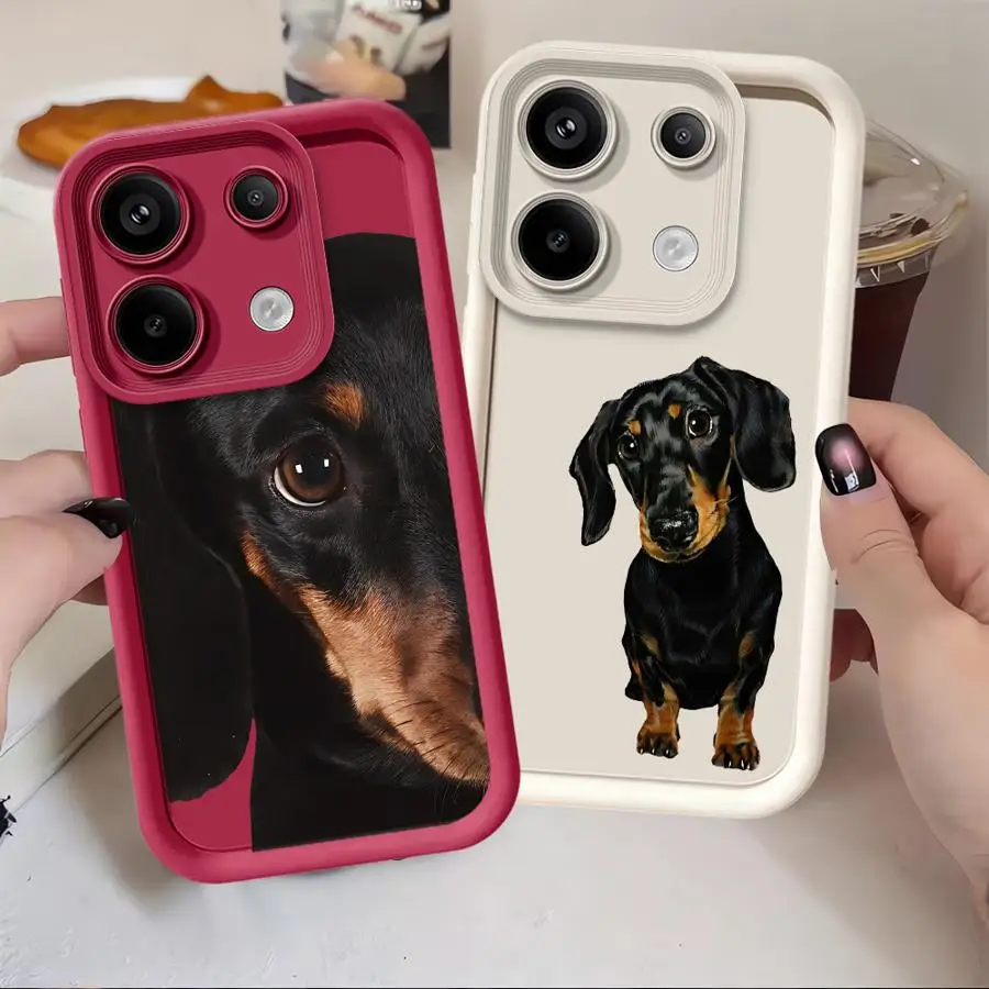 Interesting Dachshu… - image