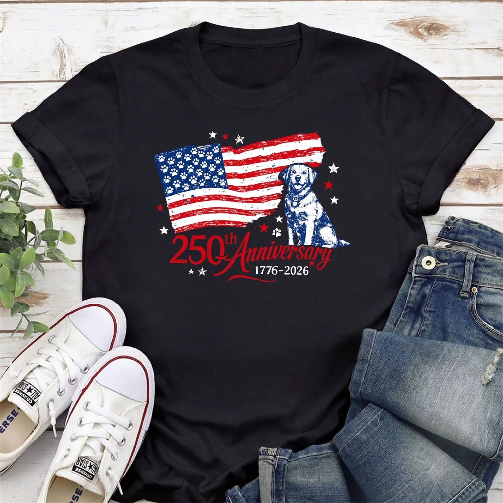 

250th Anniversary USA Classic T-Shirt