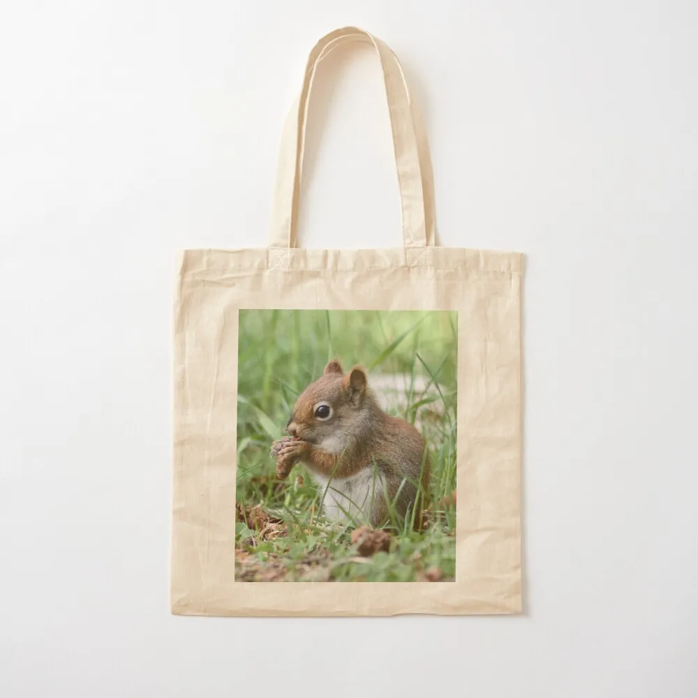 American Red Squirrel Tote Bag sacs de shopping Large bags for women tote bags men hand bag Canvas Tote Bag