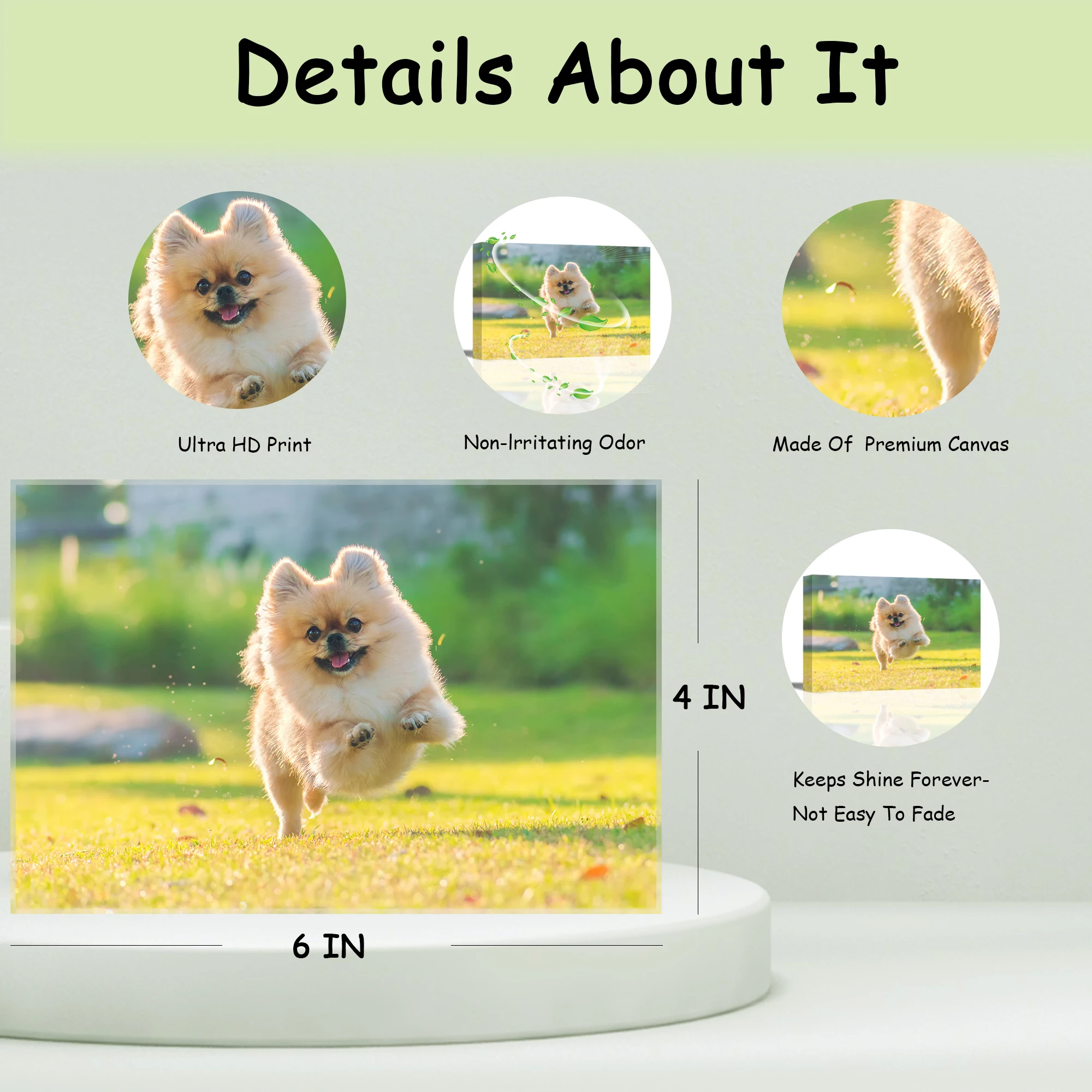 Custom Dog Cat Paintings Prints Custom Personalized Canvas Prints with Your Pet Dog Cat for Home Decoration