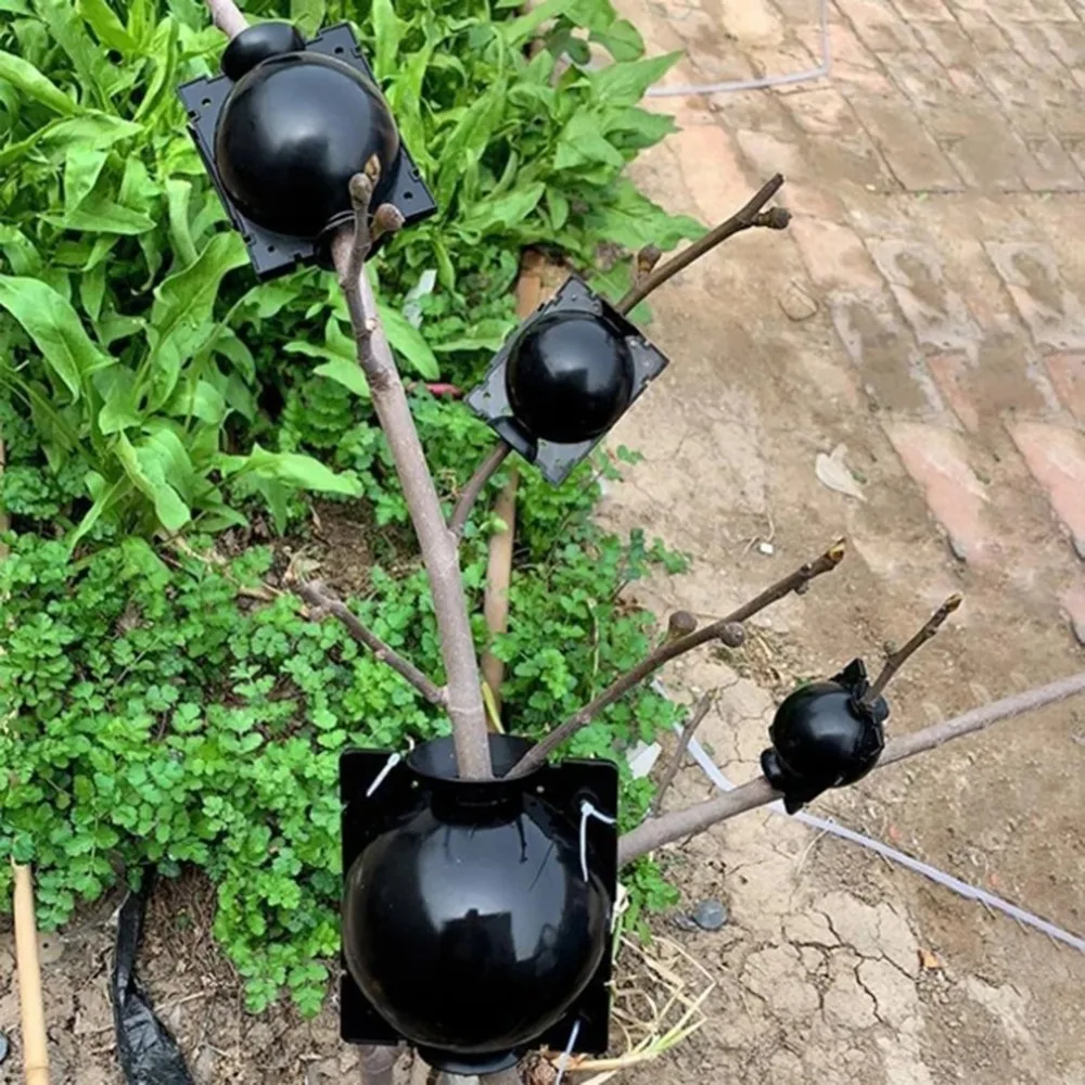 1 pcs Plant Rooting Ball innesto Rooting Growing Box custodia da allevamento per dispositivo di controllo delle radici ad alta pressione per botanica da giardino
