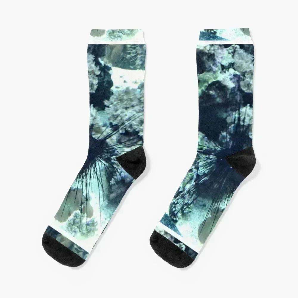 جوارب قنفذ البحر جورب تسخين كرتوني للجري جوارب كاواي للفتيات والرجال