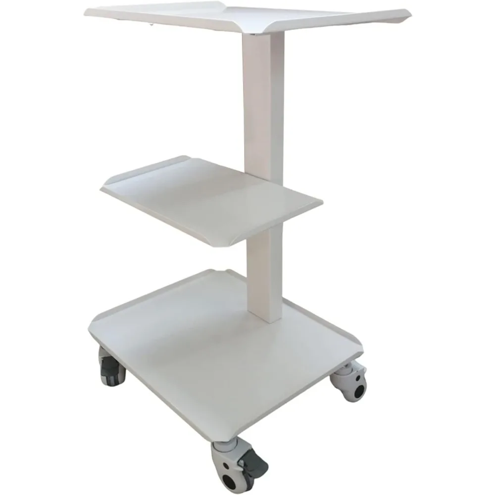 

Mobile Salon Trolley Beauty Cart, 3 Tier Rolling Cart, Esthetician Cart with Wheels, Salon Roller rt, Stora