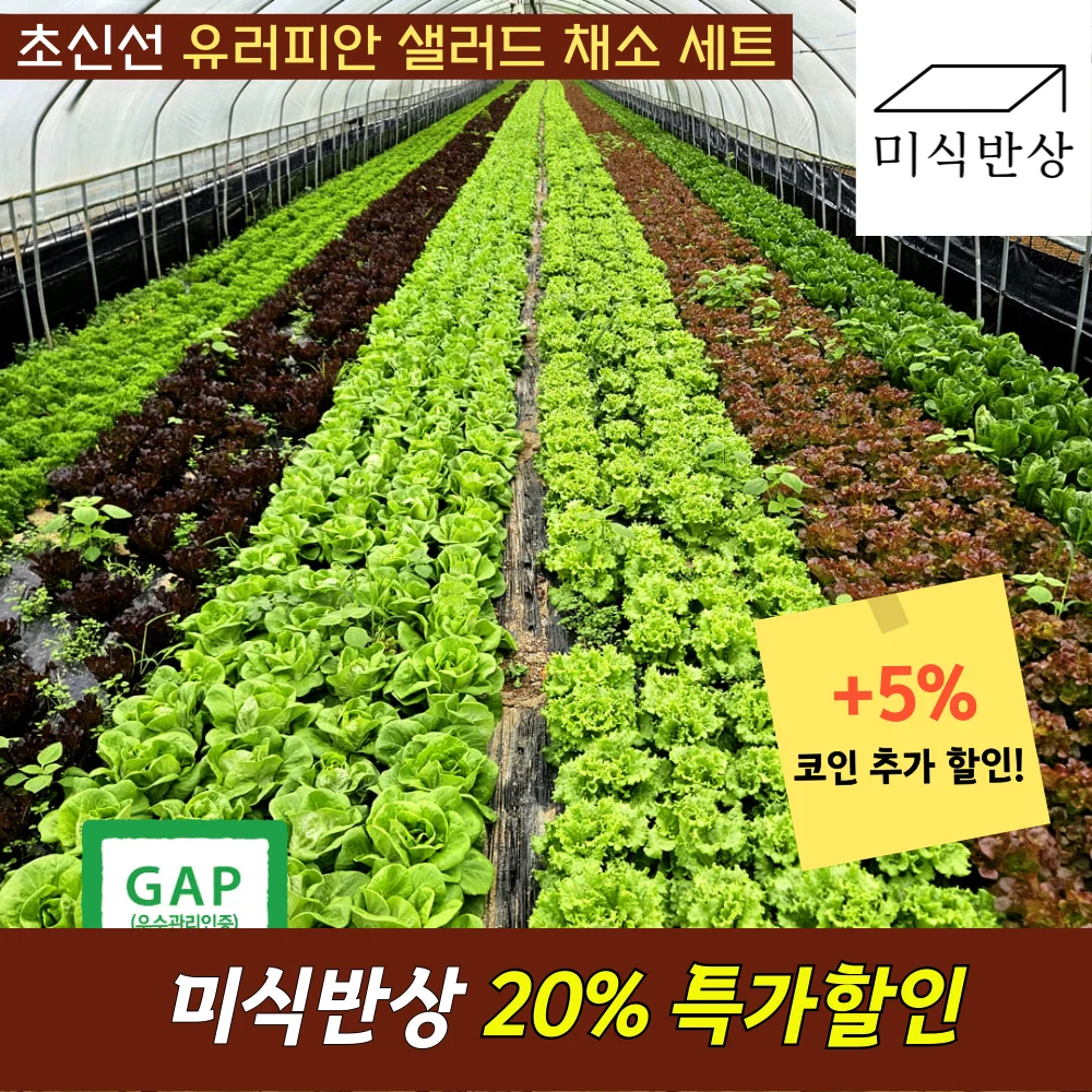 Ensalada de Verduras Europeas 3~4 Tipos Set 1kg Romane Butterhead Etc. Mismo entrega