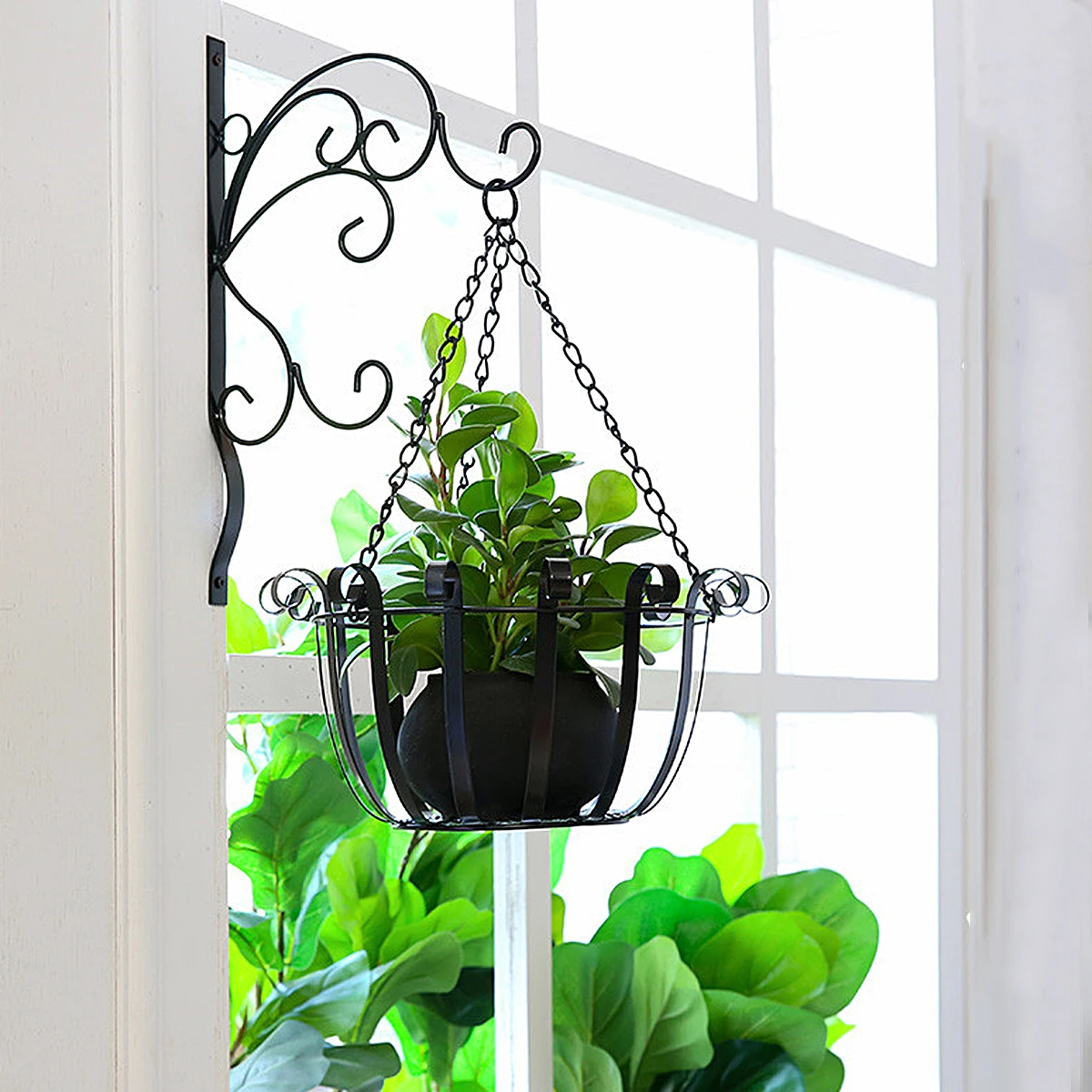 

1Pcs Flower Stand Set Indoor Iron Art Basket Wall Mounted Hanging Plant Holder for Home Cafe Decor Suspended Flower Stand