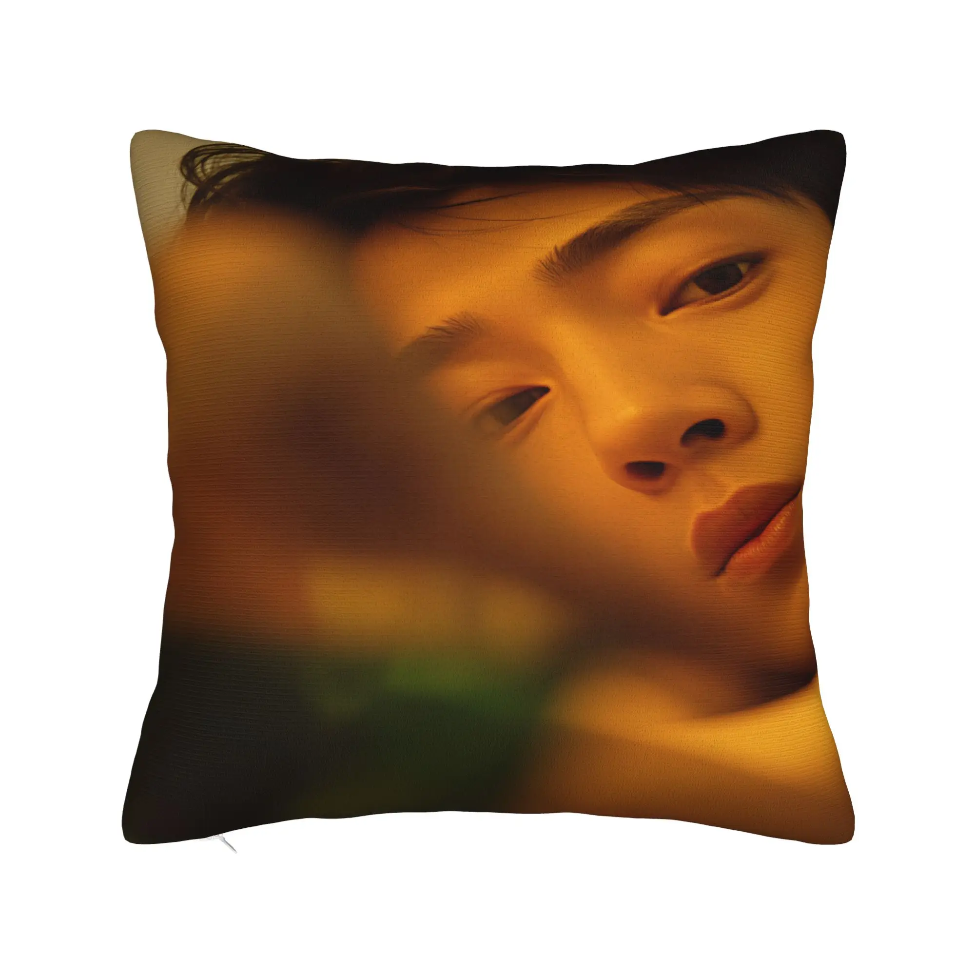 The Early Spring Pillow Case C Drama Novelty Pillow Cover Graphic Pillowcases For Sofa Car Home Decor