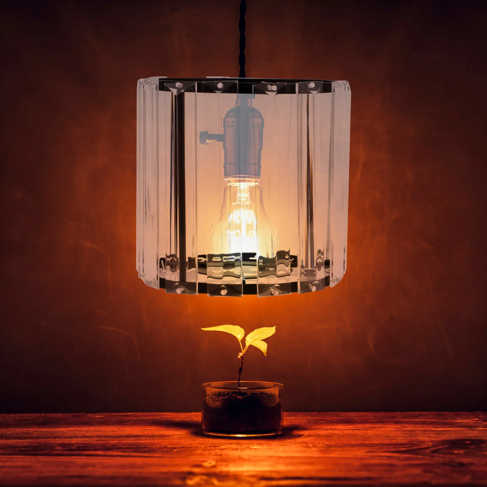 

Premium Glass Pendant Light Shade E27 Base Modern Iron and Glass Lampshade for Ceiling Lamp Chandelier Bedside Lamp Indoor