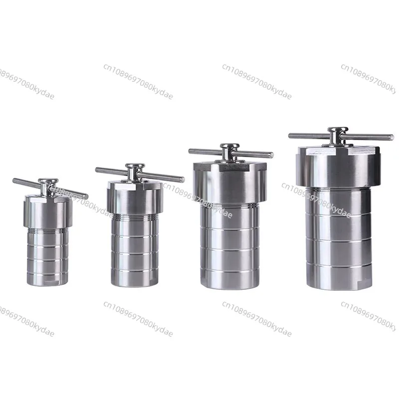 25ml Vessel-kettle Hydrothermal Autoclave Reactor  with PTFE Chamber Hydrothermal Synthesis