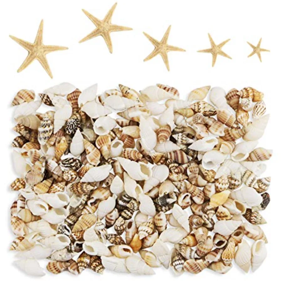 

186 pcs MINI Tiny Sea Shells Mixed Ocean Beach Seashells tural Starfish for Home Decorations Beach Theme Party Candle Making We