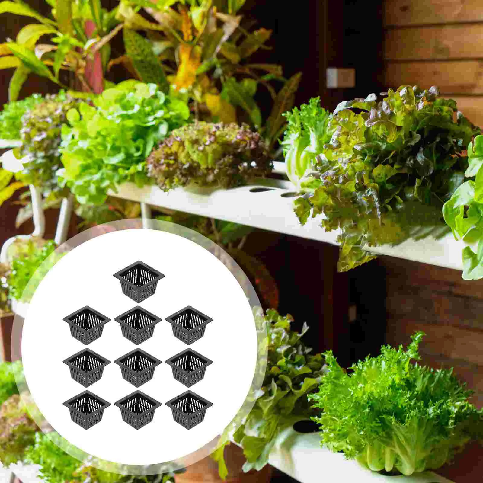 10 buah Pot bunga alat akar tanaman hijau, Pot jaring keranjang tanam kayu budaya tanpa tanah sayuran hidroponik