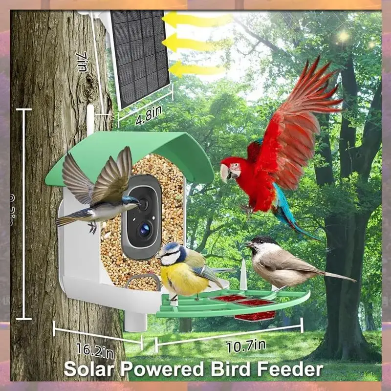 

Top Sale Smart 1080P Bird Feeder With Camera WIFI APP Remote Monitoring AI Bird Camera Wireless 2MP Outdoor Bird Feeder Camera D