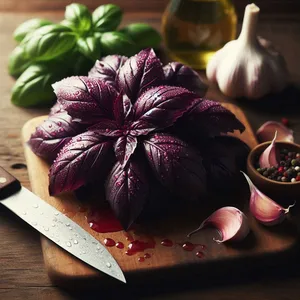 12 최고의 판매 야채 씨앗 -112