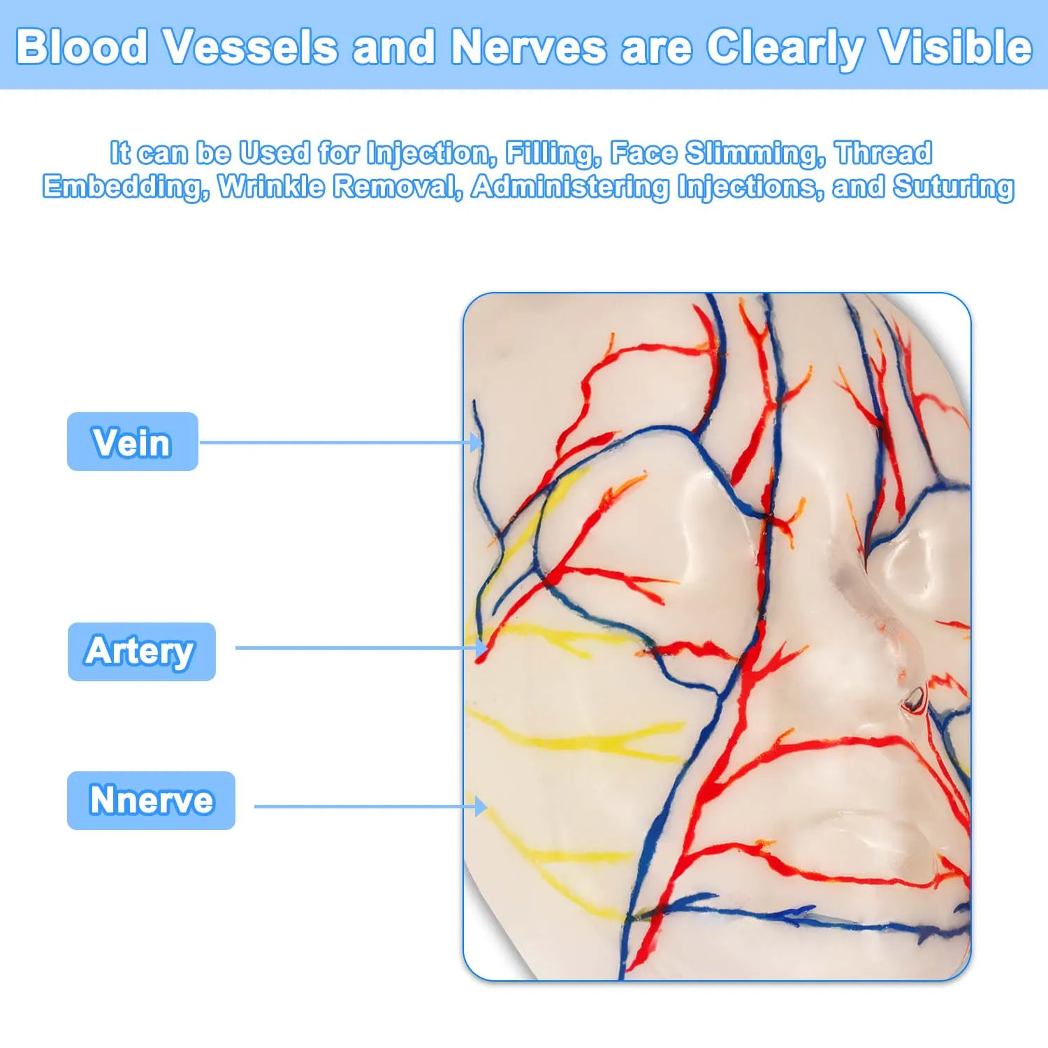 Facial Injection Training Simulator for Cosmetic Procedures