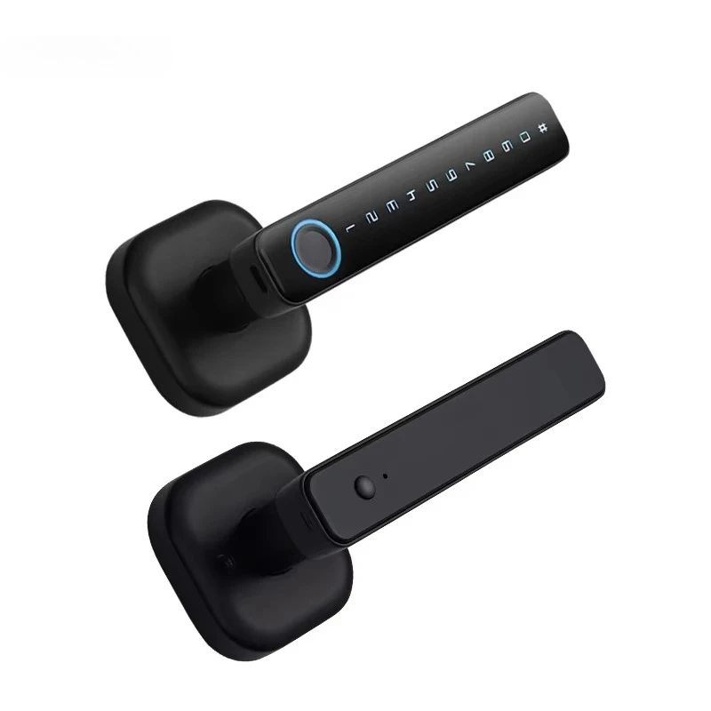 Export Hot Selling Wholesale Price Mobile Phone Tuya BLE/wifi APP Spherical Handle Fingerprint Password Intelligent Door Lock