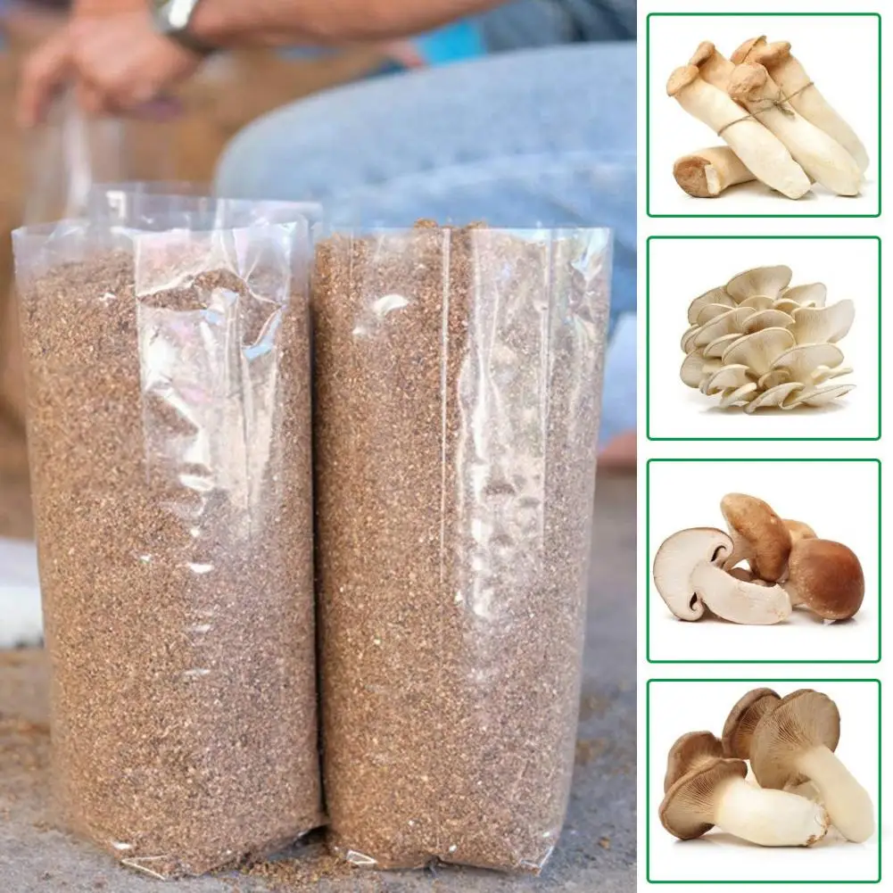 Breathable Plastic 10Pcs/Bag Growth Bags High Temperature Resistant Food grade Plant Growing Container for Mushroom