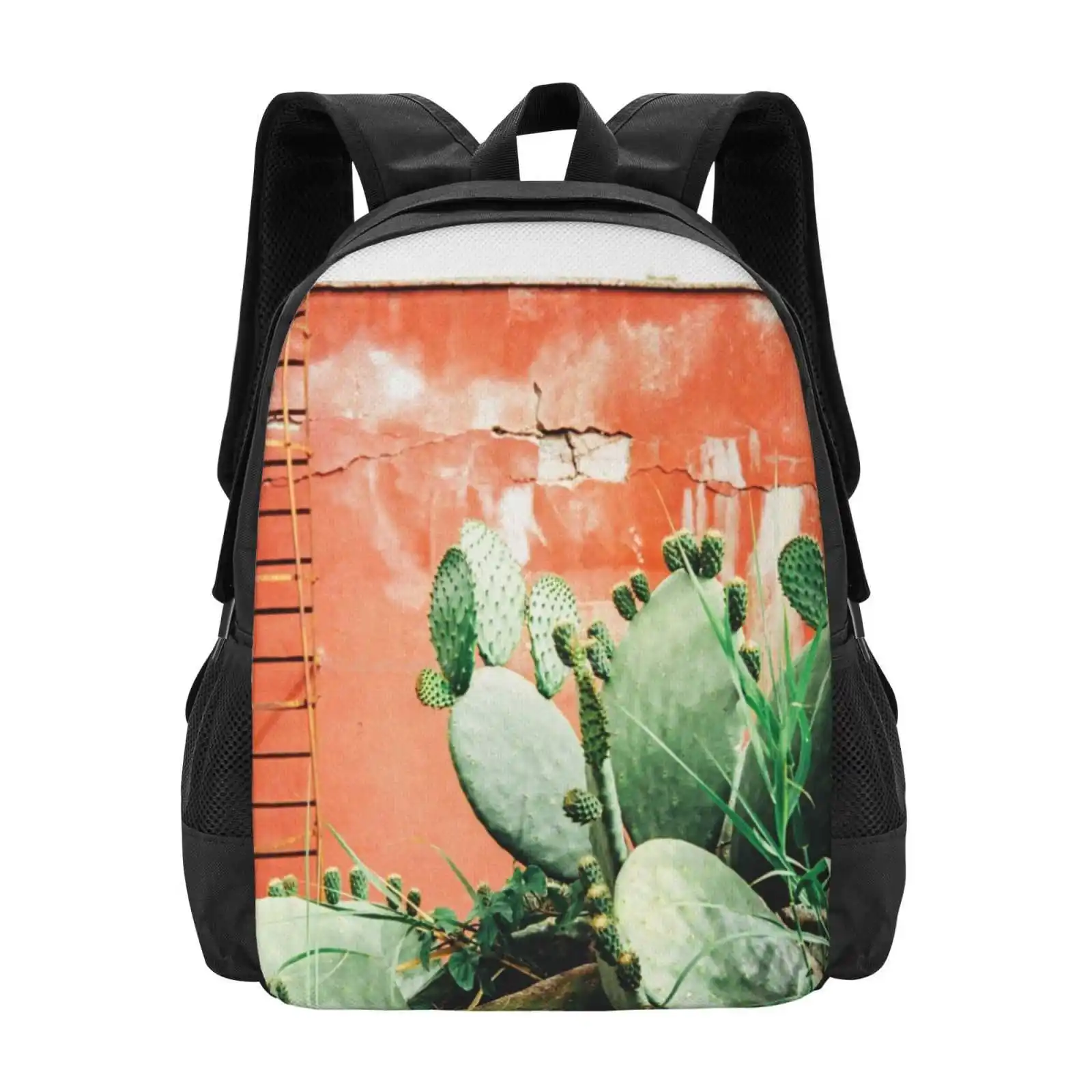 Closeup On Cacti Growing In Front Of Shabby Red Wall Shot On Porta 400 Hot Sale Schoolbag Backpack Fashion Bags Beautiful Cacti