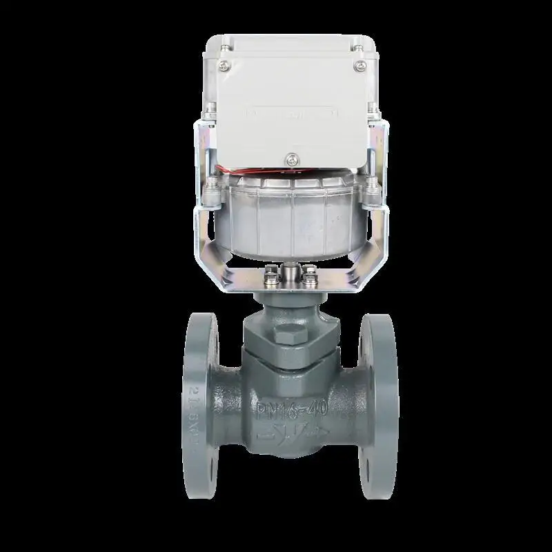 Electric proportional steam valve VY5138M0041 equal percentage control valve VY5137M0022 VY5137M DN25 1 inch