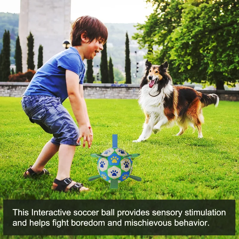 Dog Training Bite-Resistant Soccer Toy Ball Tug of War Interactive Ball Outdoor Medium and Small Dog Pet Supplies view 4