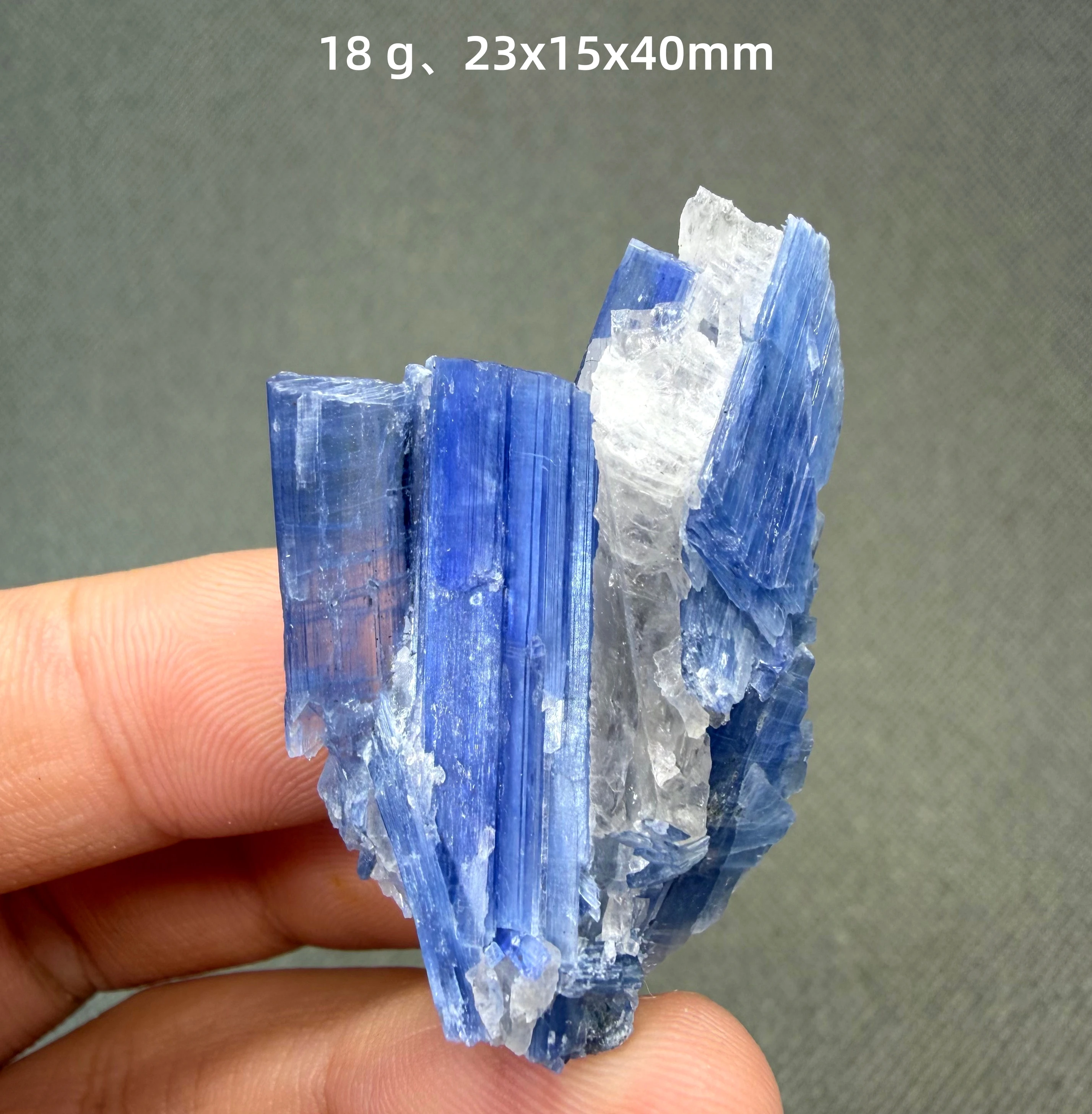 Cristal de Kyanite Bleue Radiale Naturelle, Grappe Minérale, Spécimen de Quartz, Pierres de Guérison, Gemme pour Collection et Thérapie